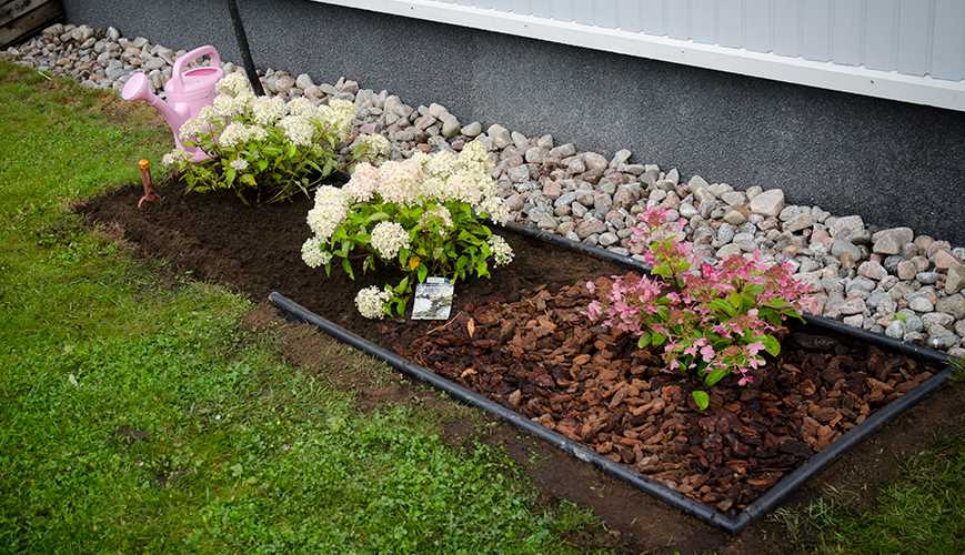 bayer garden trim voikukka h&auml;vite tiivisteen k&auml;ytt&ouml;ohje