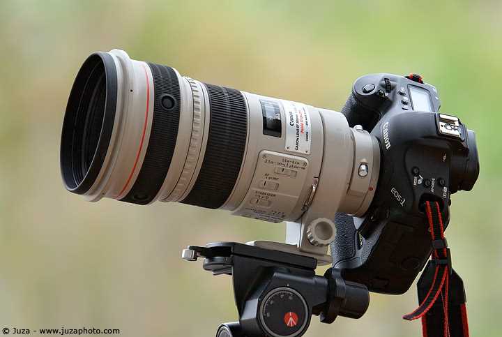 canon ef 300mm 2.8 käyttöohje canon ef 300mm 2.8 käyttöohje