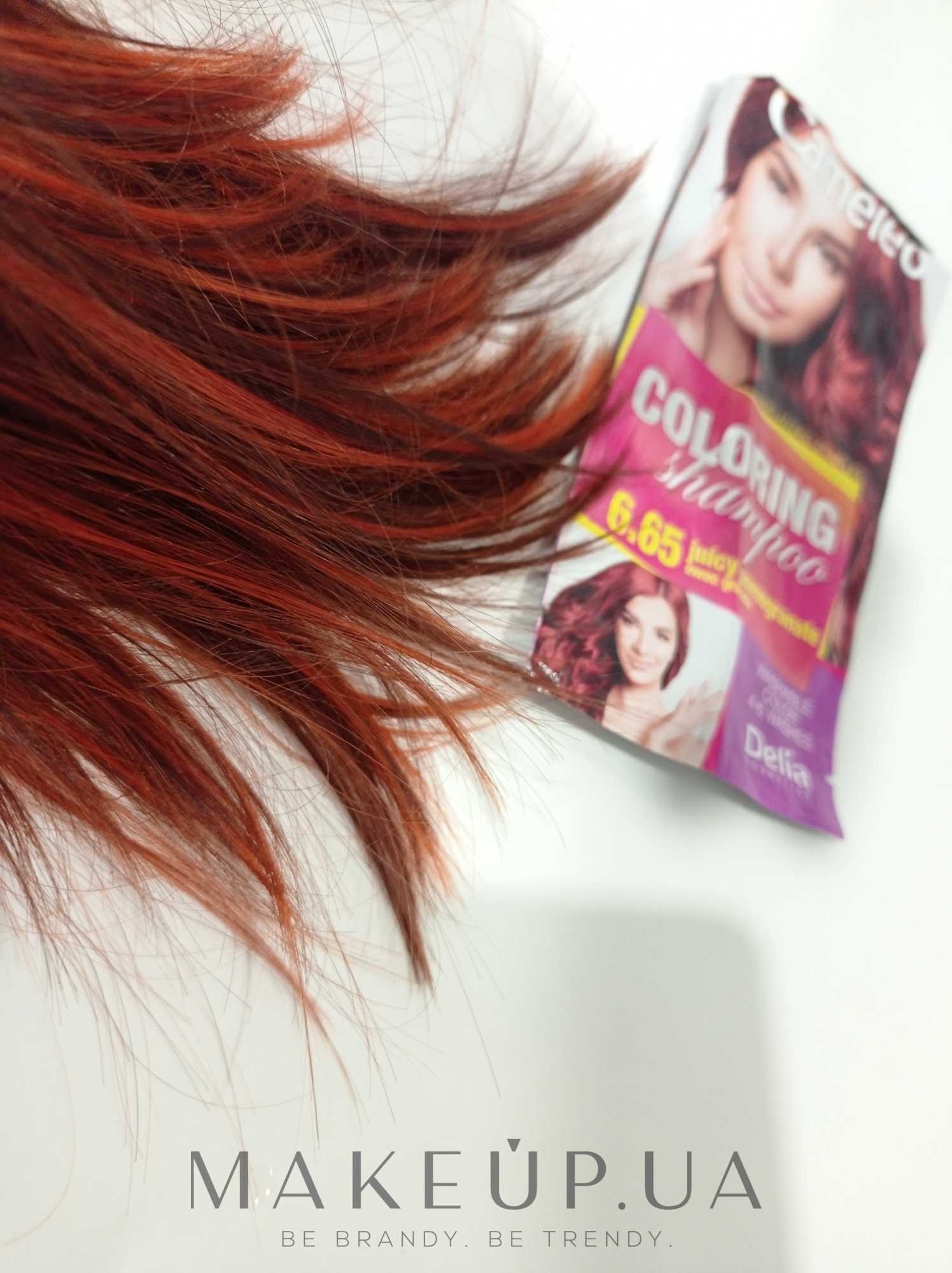 cameleo colouring shampoo k&auml;ytt&ouml;ohje