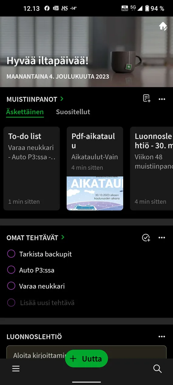 mukana ei tullut k&auml;ytt&ouml;ohjeita ylilauta