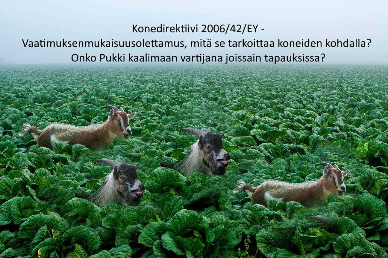 k&auml;ytt&ouml;ohjeiden laatiminen sfs en 82079 1 lainaus