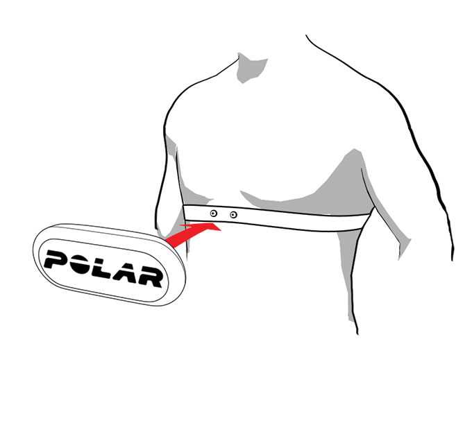 polar sykemittari ja vy&ouml; k&auml;ytt&ouml;ohje