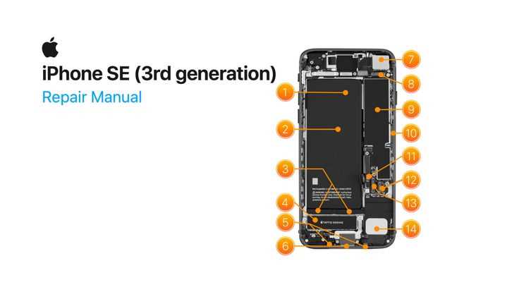 iphone 6 k&auml;ytt&ouml;ohje pdf