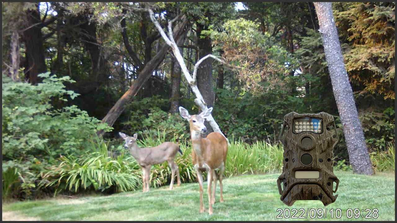 wildgame terra extreme k&auml;ytt&ouml;ohje
