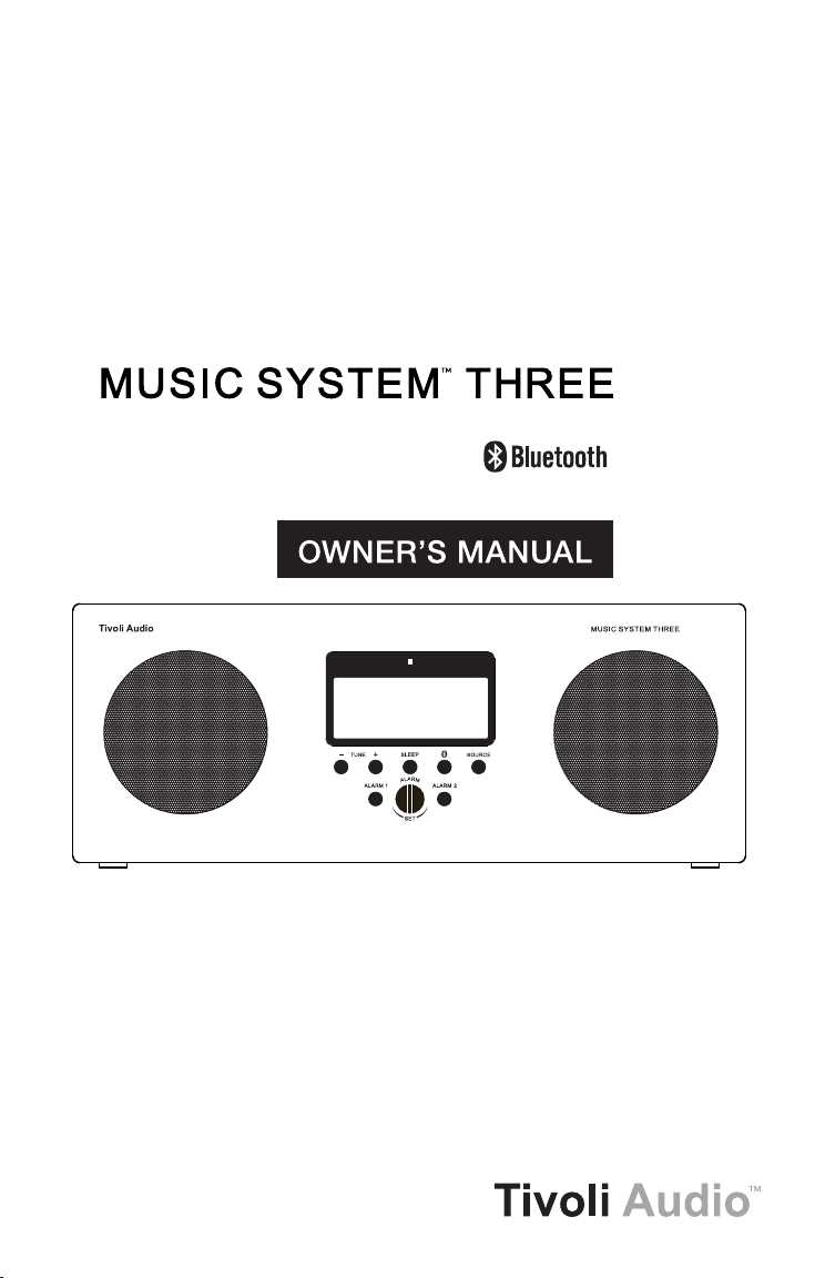 tivoli audio music system k&auml;ytt&ouml;ohjeet