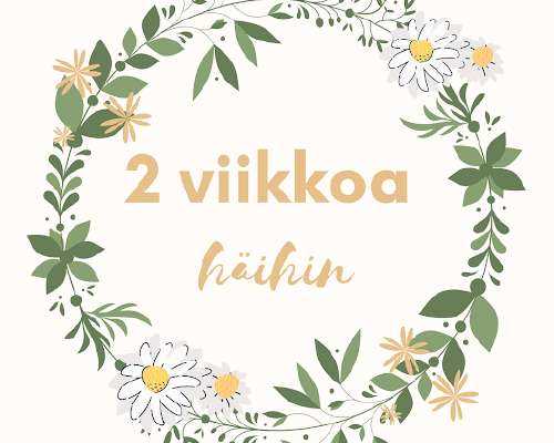 polaroid kameran k&auml;ytt&ouml;ohje juhliin